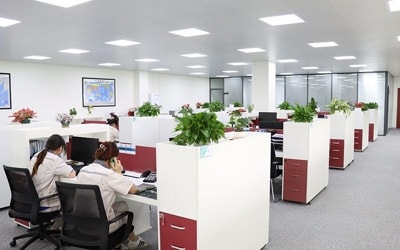 Fotografía de nuestros empleados durante una jornada laboral